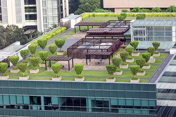 CPE 5403 Green Roof Design Construction and Maintenance